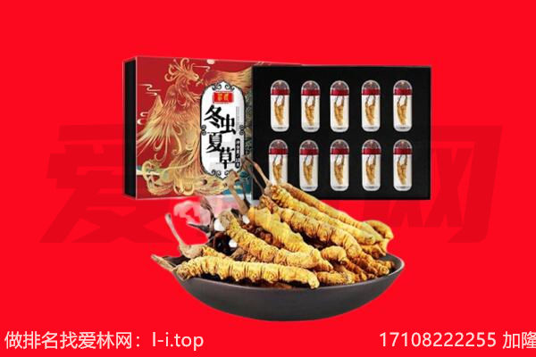 焦作回收虫草.jpg